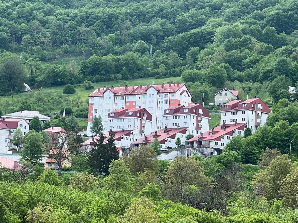 Loft Plužine