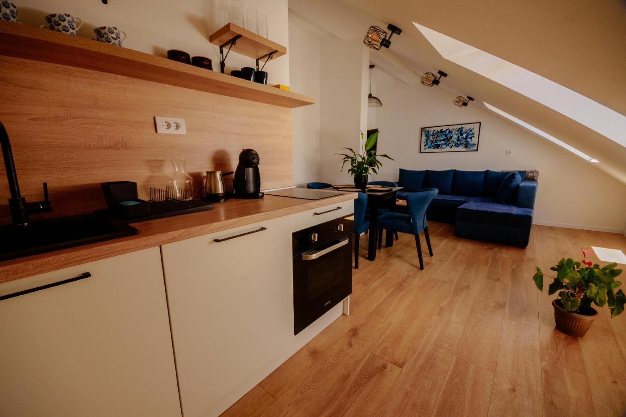 Loft Plužine